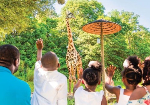 The Vibrant Music Festival Scene in Southeast SC