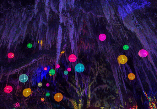 The Vibrant Music Scene in Southeast SC